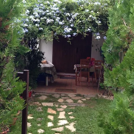Cossis 74 *